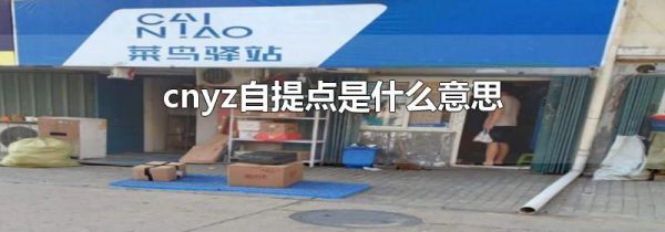 cnyz自提点是什么意思