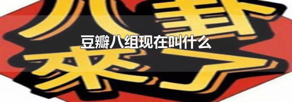 豆瓣八组现在叫什么