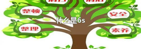 什么是6s