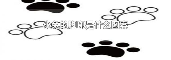 小兔的脚印是什么图案