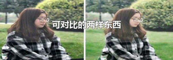 可对比的两样东西