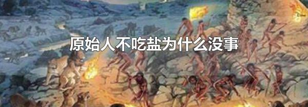 原始人不吃盐为什么没事