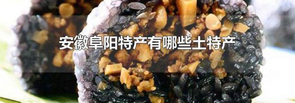 安徽阜阳特产有哪些土特产