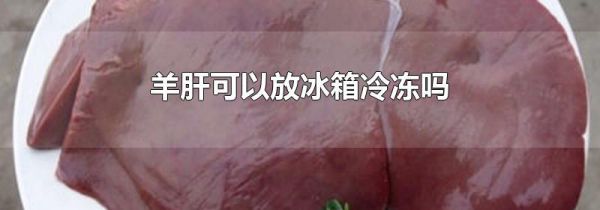 羊肝可以放冰箱冷冻吗