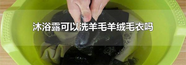 沐浴露可以洗羊毛羊绒毛衣吗