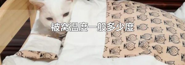 被窝温度一般多少度