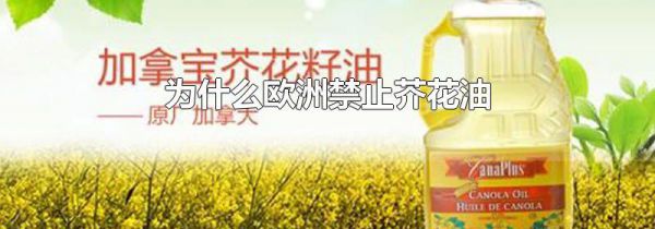 为什么欧洲禁止芥花油