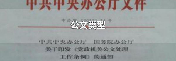 公文类型