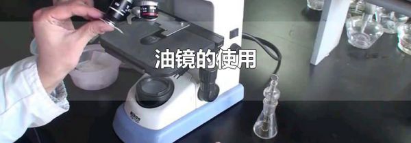 油镜的使用