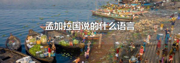 孟加拉国说的什么语言