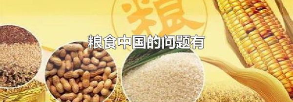粮食中国的问题有
