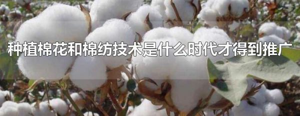 种植棉花和棉纺技术是什么时代才得到推广