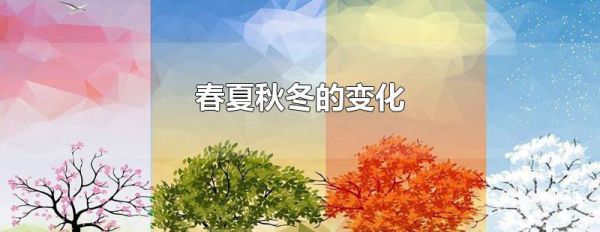 春夏秋冬的变化