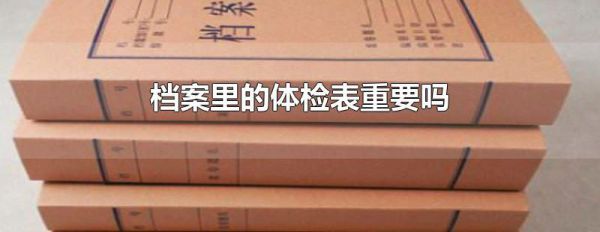 档案里的体检表重要吗