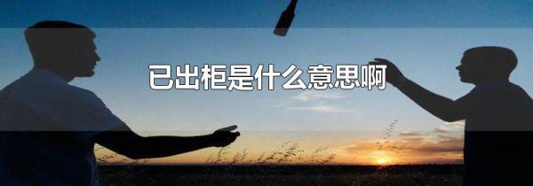 已出柜是什么意思啊