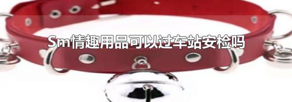 sm情趣用品可以过车站安检吗