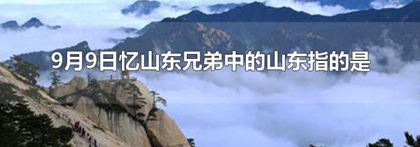 9月9日忆山东兄弟中的山东指的是