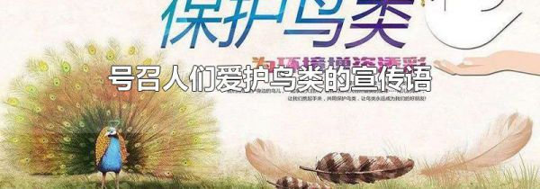 号召人们爱护鸟类的宣传语