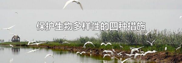 保护生物多样性的四种措施
