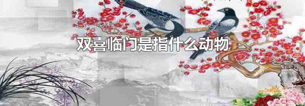 双喜临门是指什么动物
