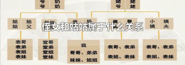 侄女和姑姑属于什么关系