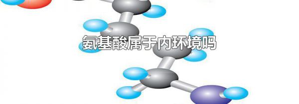 氨基酸属于内环境吗