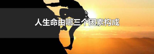 人生命由哪三个因素构成
