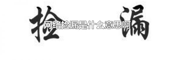 网络捡漏是什么意思啊