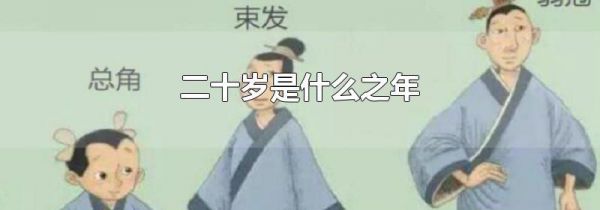 二十岁是什么之年