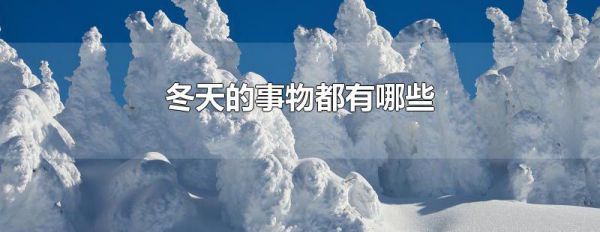 冬天的事物都有哪些