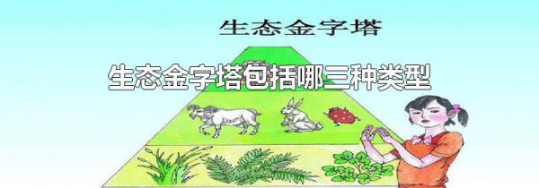 生态金字塔包括哪三种类型