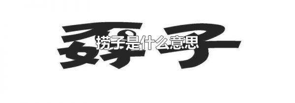 捞子是什么意思