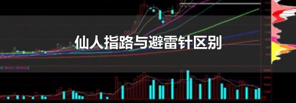 仙人指路与避雷针区别