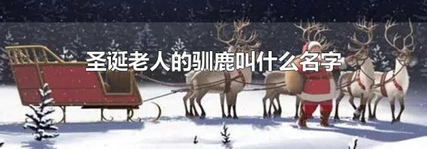 圣诞老人的驯鹿叫什么名字