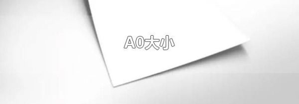 A0大小