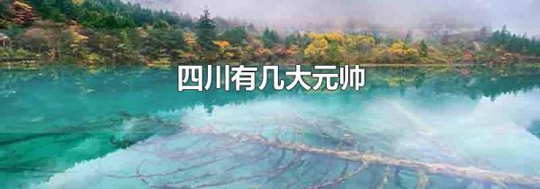 四川有几大元帅