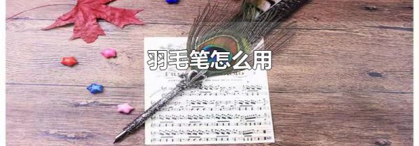 羽毛笔怎么用