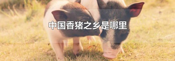 中国香猪之乡是哪里