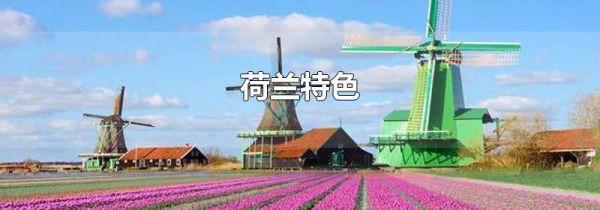 荷兰特色