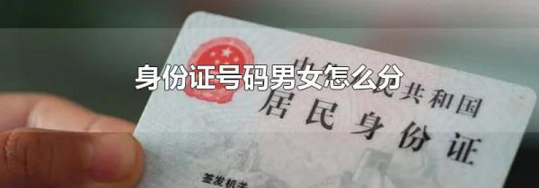身份证号码男女怎么分