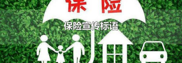 保险宣传标语