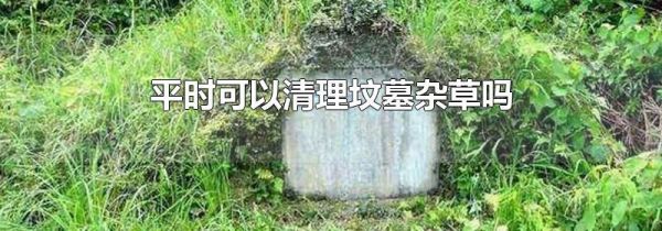 平时可以清理坟墓杂草吗