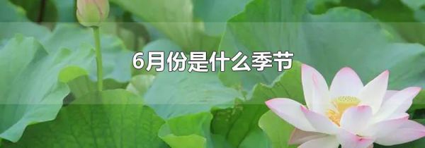6月份是什么季节