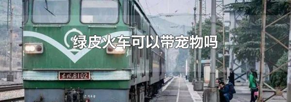 绿皮火车可以带宠物吗
