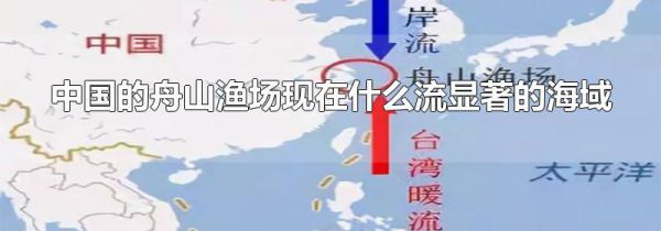 中国的舟山渔场现在什么流显著的海域