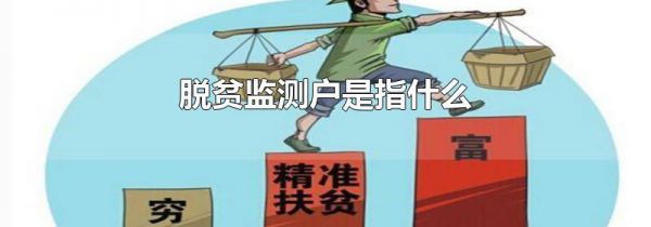 脱贫监测户是指什么