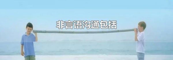 非言语沟通包括
