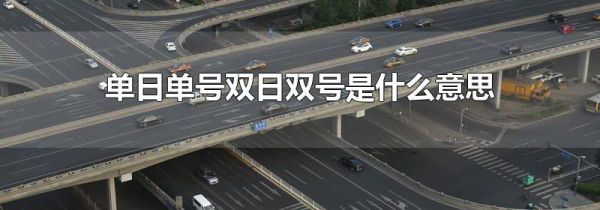 单日单号双日双号是什么意思