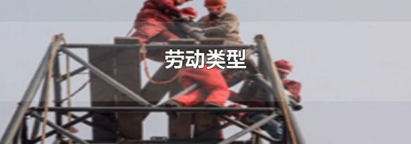 劳动类型