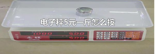 电子秤5元一斤怎么按